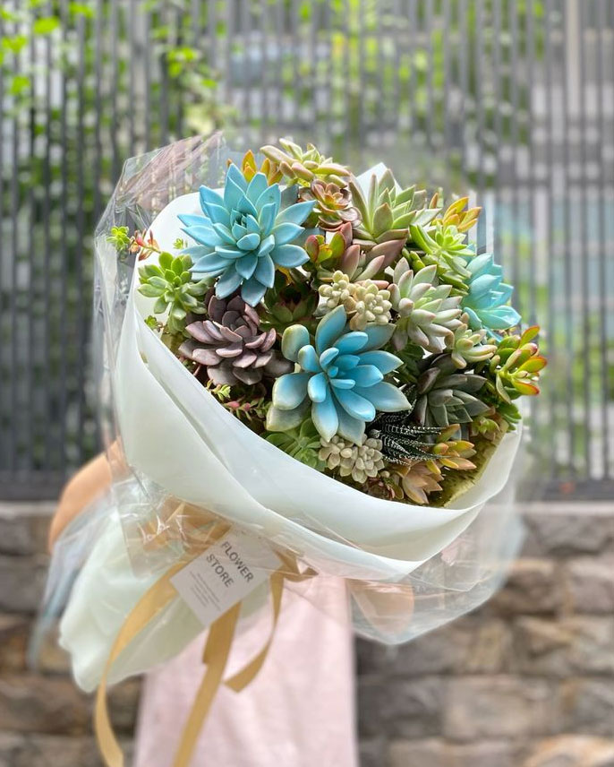 bó hoa sen đá đẹp bó hoa sen đá đẹp